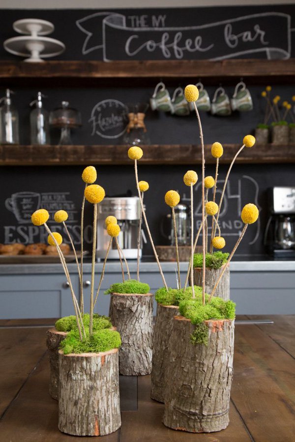 Come realizzare un vaso decorativo con un ceppo d'albero