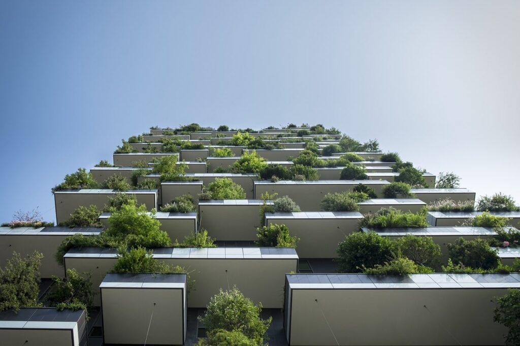 edifici ricoperti di piante