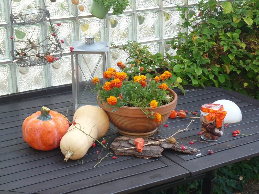 Giardino in autunno
