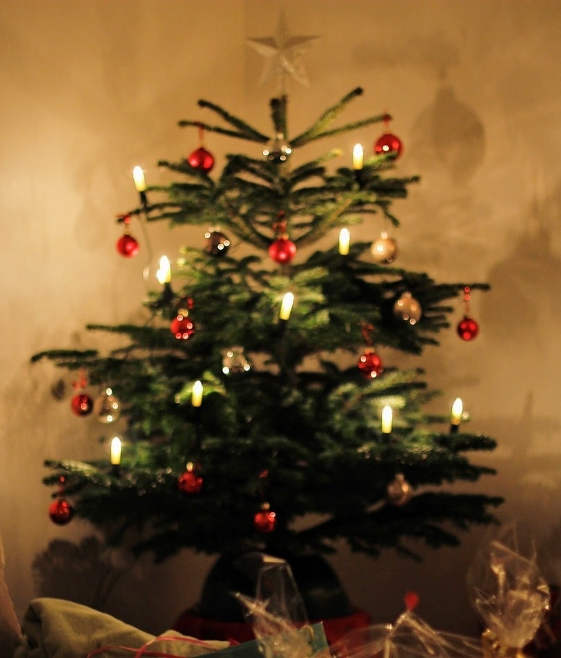 Addobbare l'albero di Natale come da tradizione