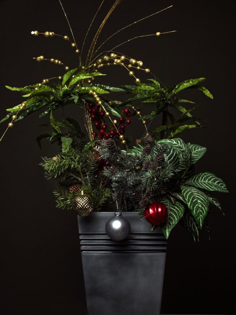 Addobbare le piante in casa per Natale: 15 Idee