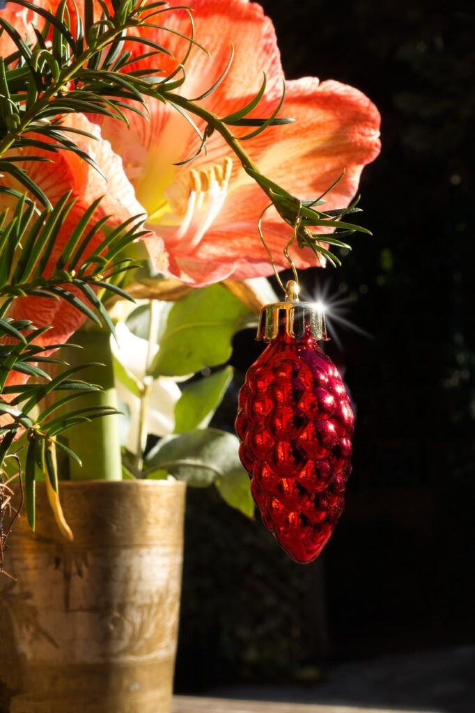 Addobbare le piante in casa per Natale: 15 Idee