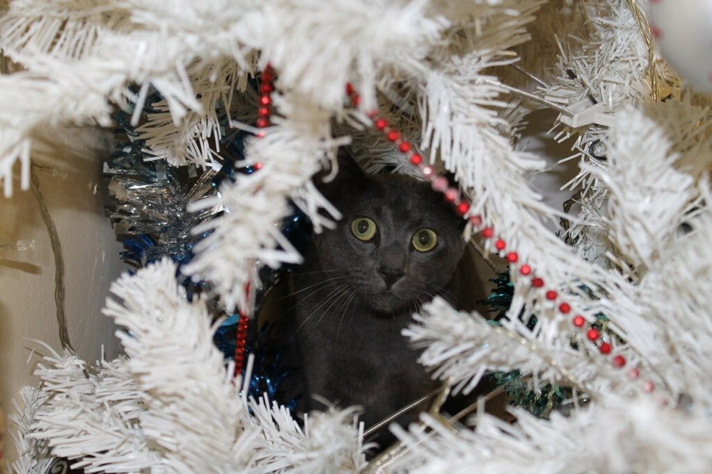 Natale a prova di gatto: 8 trucchi fondamentali