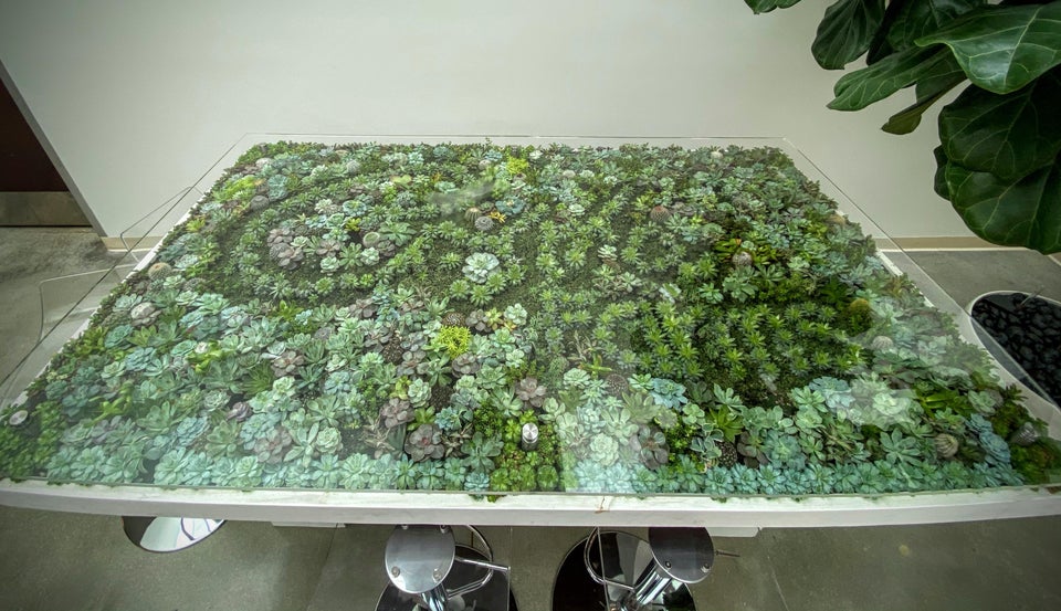 decorare tavoli e tavolini con le piante grasse
