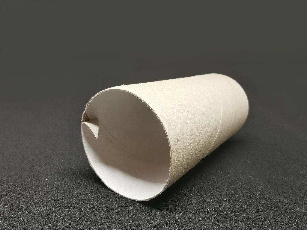 Riciclo creativo dei rotoli di carta igienica