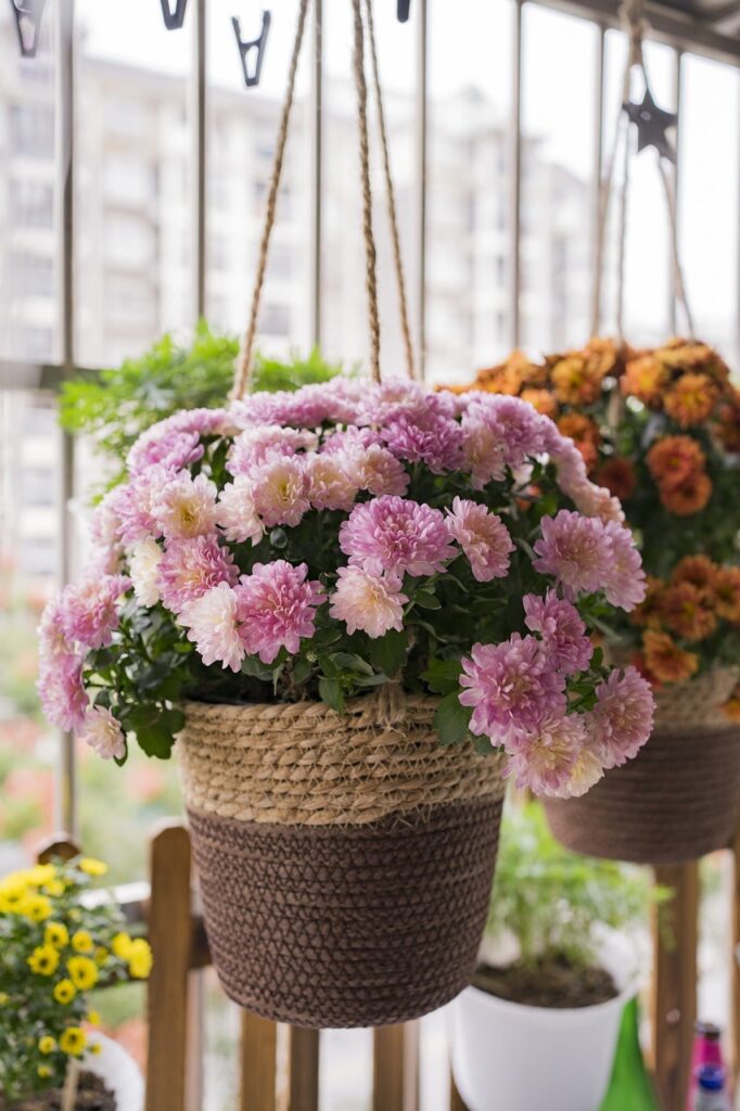 Come allestire un giardino in balcone