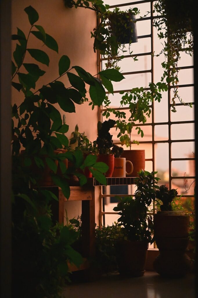 Come allestire un giardino in balcone