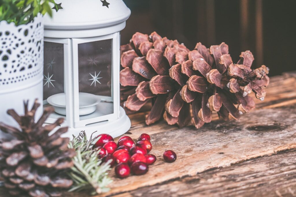 Come addobbare casa con le pigne per Natale: 27 idee!